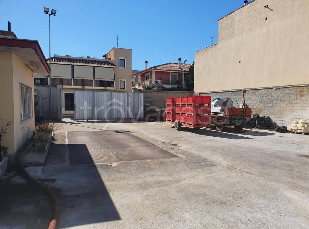 locale commerciale in vendita a Trinitapoli