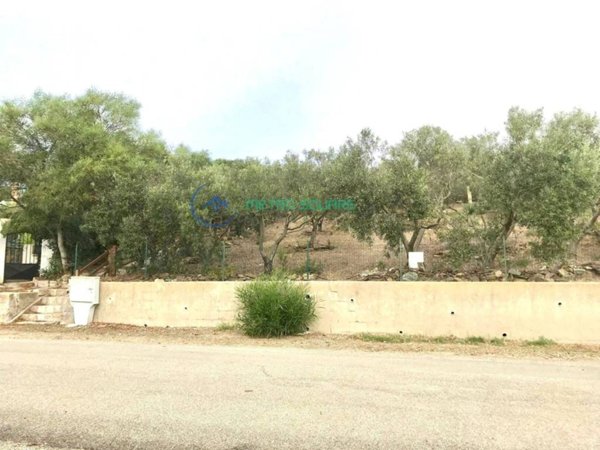 terreno agricolo in vendita ad Arbus