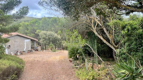 casa indipendente in vendita ad Arbus