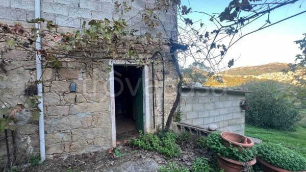 terreno agricolo in vendita ad Arbus