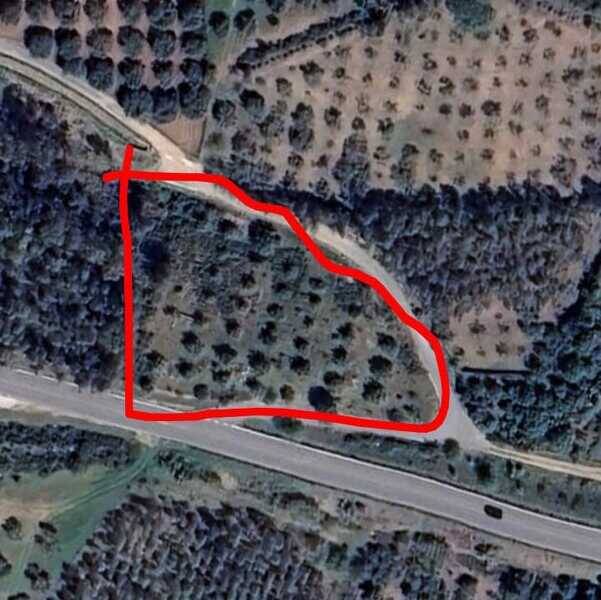 terreno agricolo in vendita a Barrali