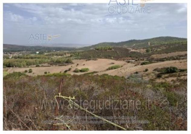 terreno agricolo in vendita a Barrali