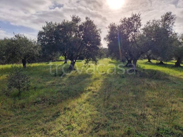 terreno edificabile in vendita a Barumini