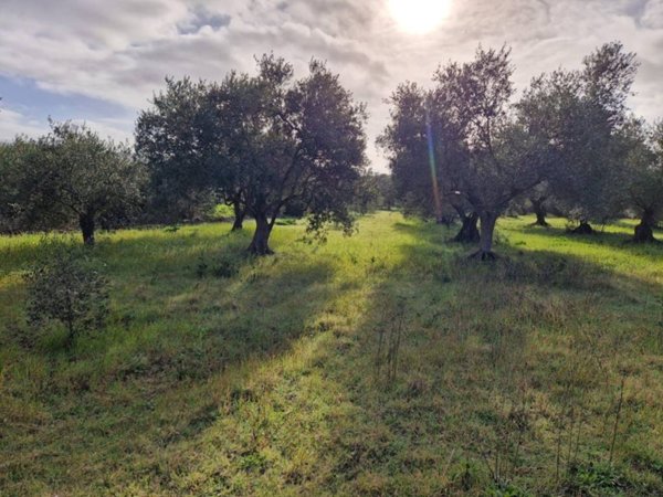 terreno edificabile in vendita a Barumini