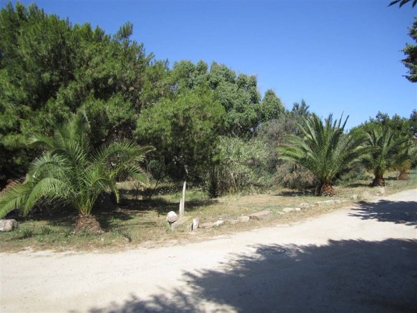 appartamento in vendita a Calasetta