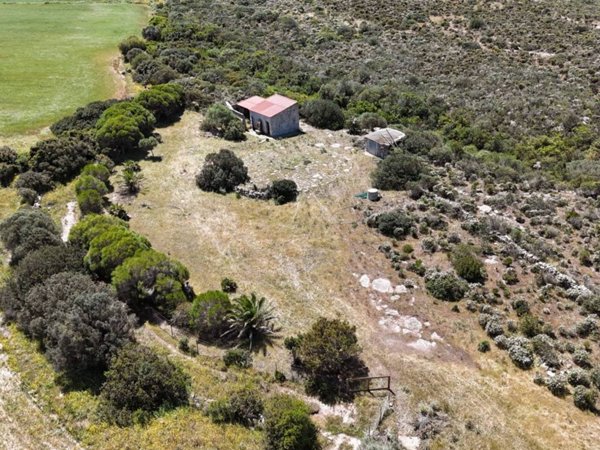 terreno agricolo in vendita a Calasetta