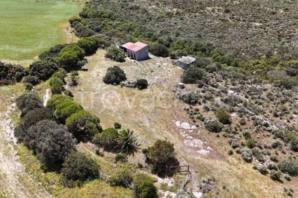 casa indipendente in vendita a Calasetta