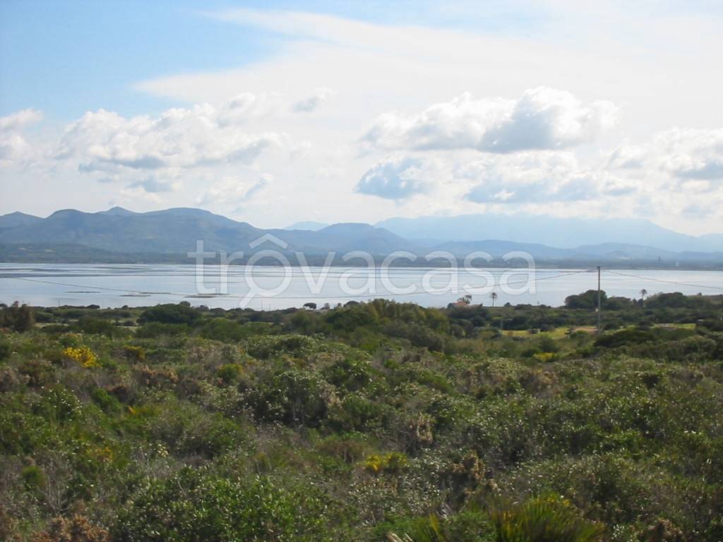 terreno agricolo in vendita a Calasetta