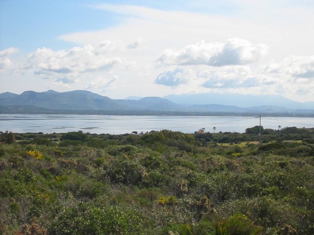 terreno agricolo in vendita a Calasetta