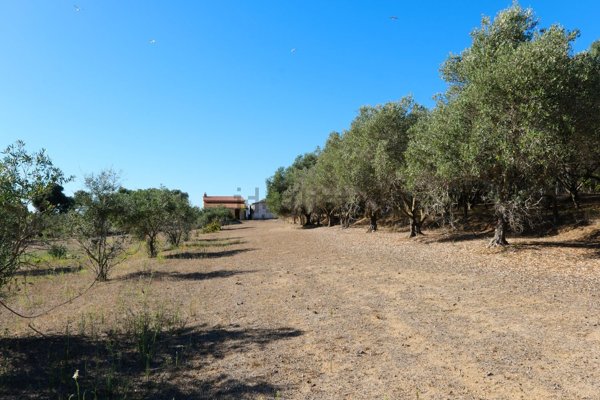 appartamento in vendita a Calasetta in zona Cussorgia