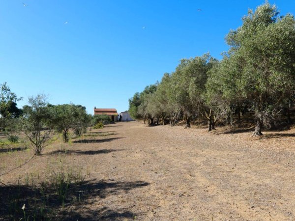 casa indipendente in vendita a Calasetta in zona Cussorgia