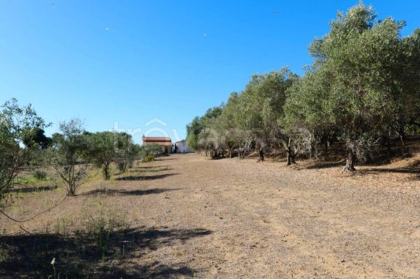 casa indipendente in vendita a Calasetta in zona Cussorgia