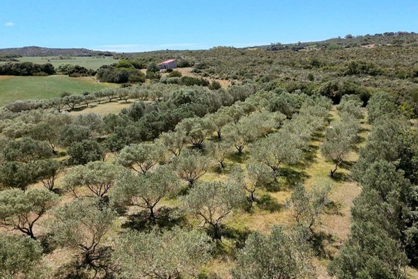 casa indipendente in vendita a Calasetta
