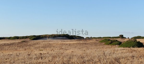 terreno agricolo in vendita a Calasetta