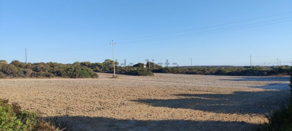 terreno agricolo in vendita a Calasetta