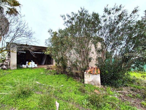 casa indipendente in vendita a Calasetta