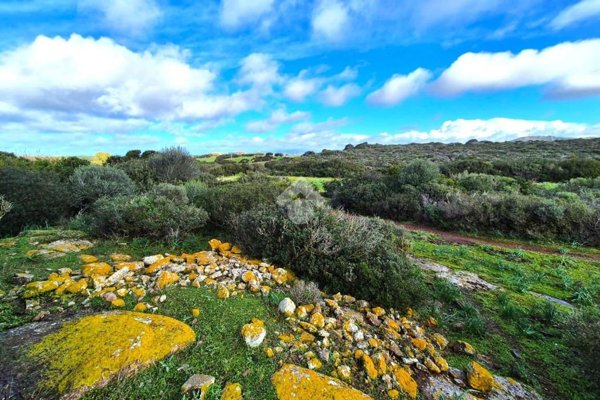 appartamento in vendita a Calasetta