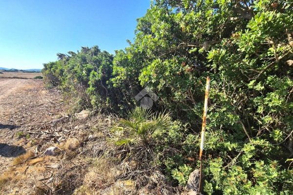 terreno agricolo in vendita a Calasetta