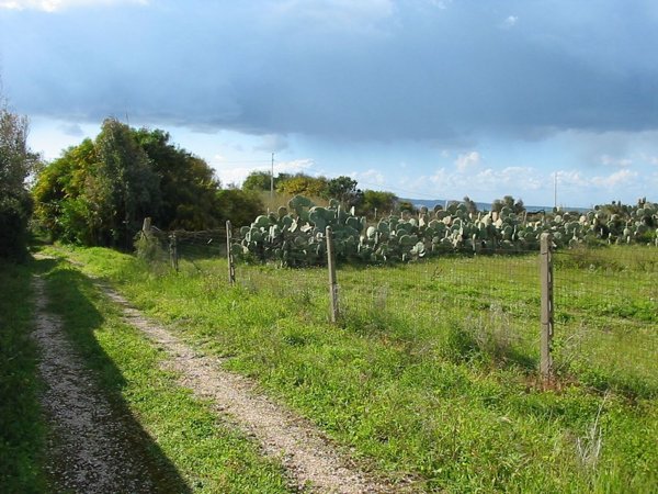 casa indipendente in vendita a Calasetta in zona Cussorgia