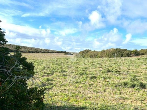 terreno agricolo in vendita a Calasetta