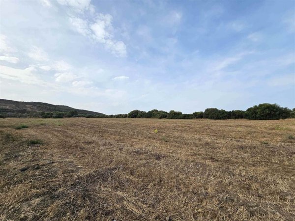 terreno agricolo in vendita a Carbonia in zona Flumentepido