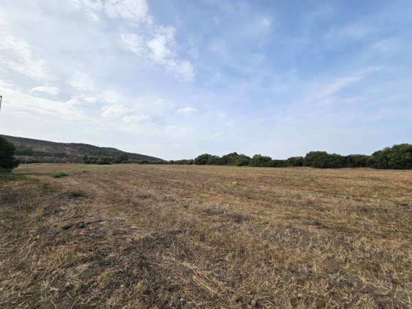 terreno agricolo in vendita a Carbonia in zona Flumentepido
