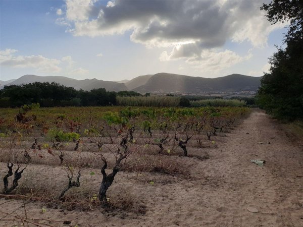 casa indipendente in vendita a Carbonia