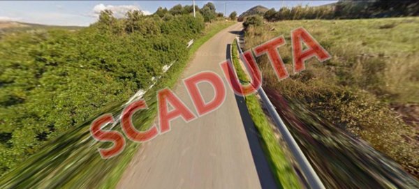 immagine annuncio 0 di 12