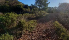 terreno agricolo in vendita a Carbonia