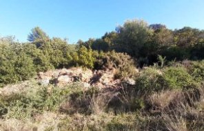 terreno agricolo in vendita a Carbonia