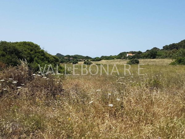 terreno agricolo in vendita a Carloforte