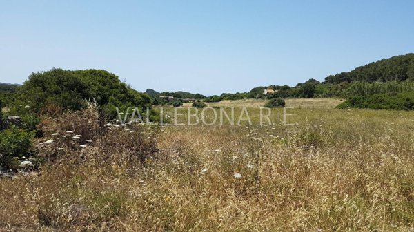 terreno agricolo in vendita a Carloforte