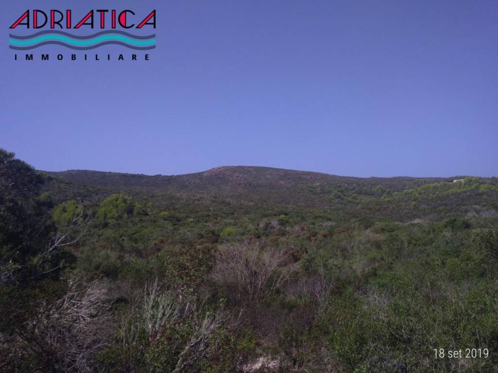 terreno agricolo in vendita a Carloforte