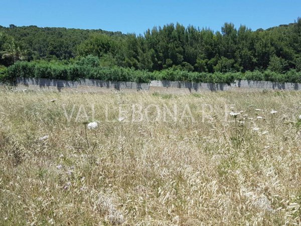 terreno agricolo in vendita a Carloforte