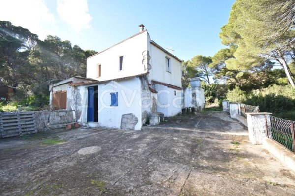 casa indipendente in vendita a Carloforte