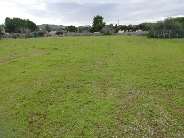 terreno agricolo in vendita a Carloforte
