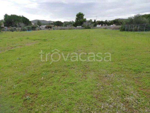 terreno agricolo in vendita a Carloforte