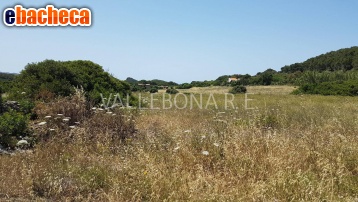 terreno agricolo in vendita a Carloforte