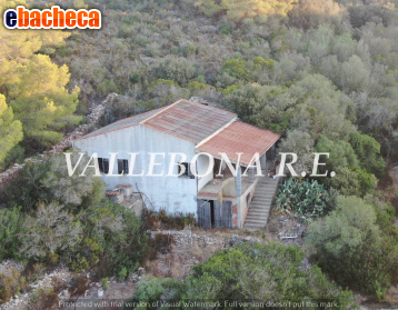casa indipendente in vendita a Carloforte