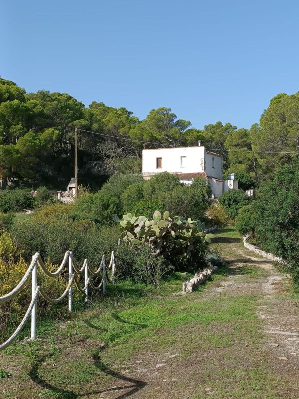 casa indipendente in vendita a Carloforte