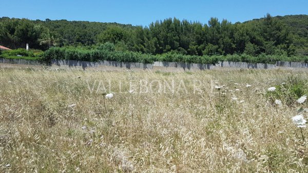 terreno agricolo in vendita a Carloforte