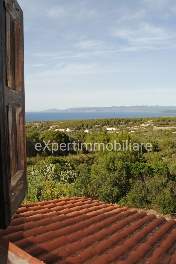 casa indipendente in vendita a Carloforte