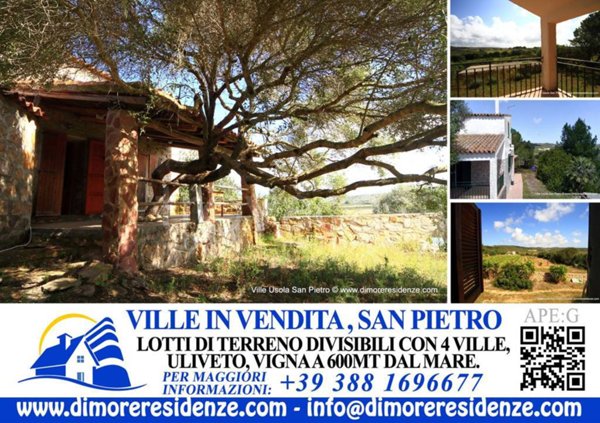 villa in vendita a Carloforte