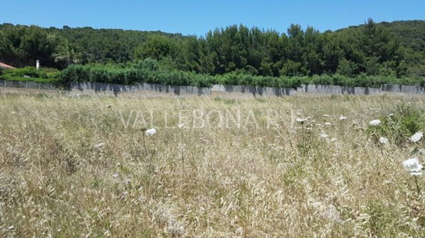 terreno agricolo in vendita a Carloforte