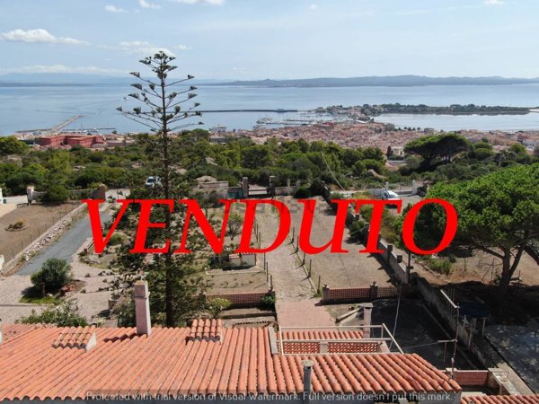 esavano in vendita a Carloforte
