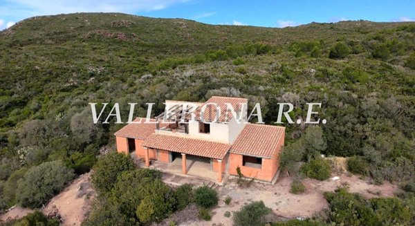 pentavano in vendita a Carloforte