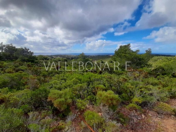 terreno agricolo in vendita a Carloforte
