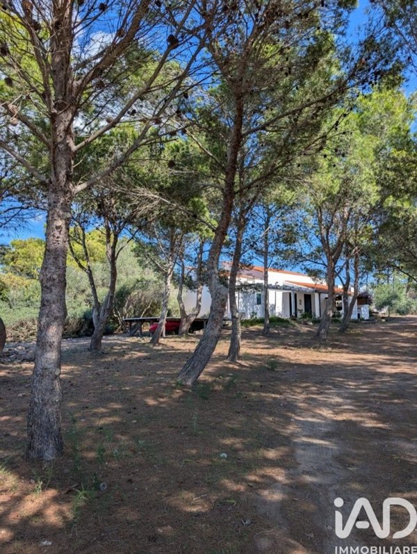 casa indipendente in vendita a Carloforte