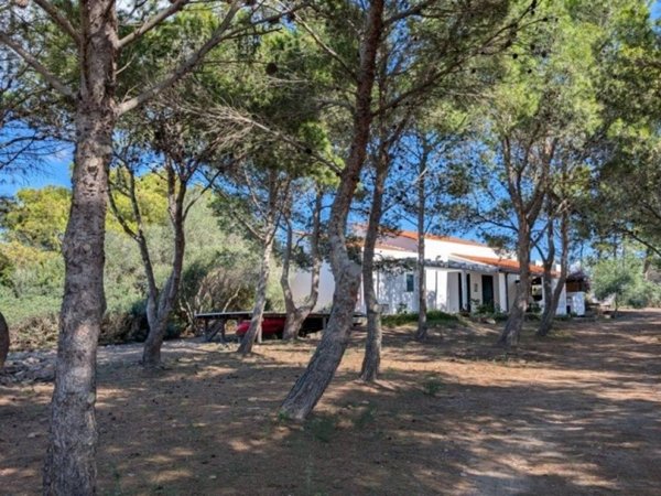 casa indipendente in vendita a Carloforte