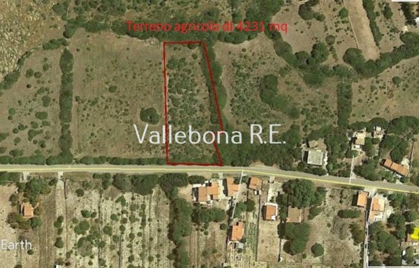 terreno agricolo in vendita a Carloforte